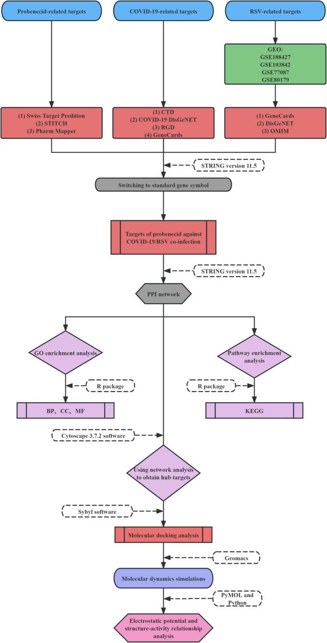 https://cdn.ncbi.nlm.nih.gov/pmc/blobs/c851/12075369/8fcc6808b08c/fmicb-16-1552603-g001.jpg