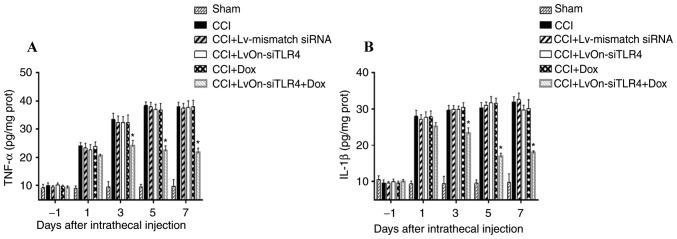 https://cdn.ncbi.nlm.nih.gov/pmc/blobs/c851/6236283/f4450400390a/MMR-18-06-5545-g01.jpg