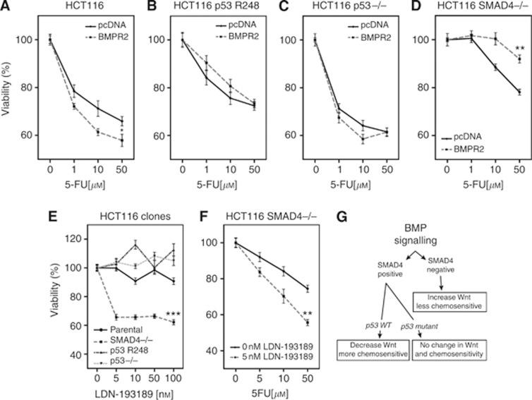 https://cdn.ncbi.nlm.nih.gov/pmc/blobs/c853/4453609/56b23459cca7/bjc2014560f5.jpg