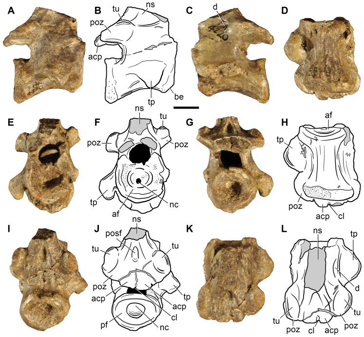 https://cdn.ncbi.nlm.nih.gov/pmc/blobs/c856/3937355/5fa2457ada4d/pone.0089165.g008.jpg