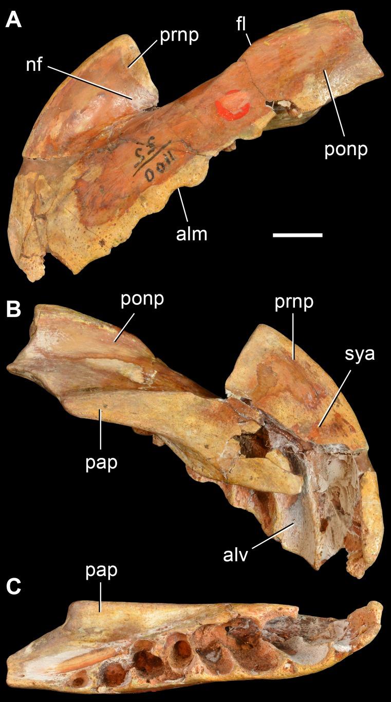 https://cdn.ncbi.nlm.nih.gov/pmc/blobs/c856/3937355/927dc2118563/pone.0089165.g007.jpg