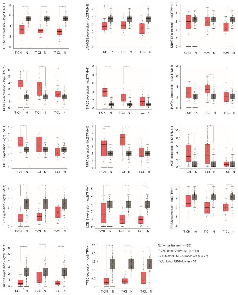 https://cdn.ncbi.nlm.nih.gov/pmc/blobs/c857/9179637/2fd940fc8130/cancers-14-02805-g006.jpg