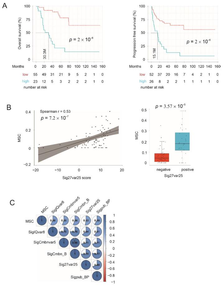 https://cdn.ncbi.nlm.nih.gov/pmc/blobs/c857/9179637/973ebe321a07/cancers-14-02805-g010.jpg