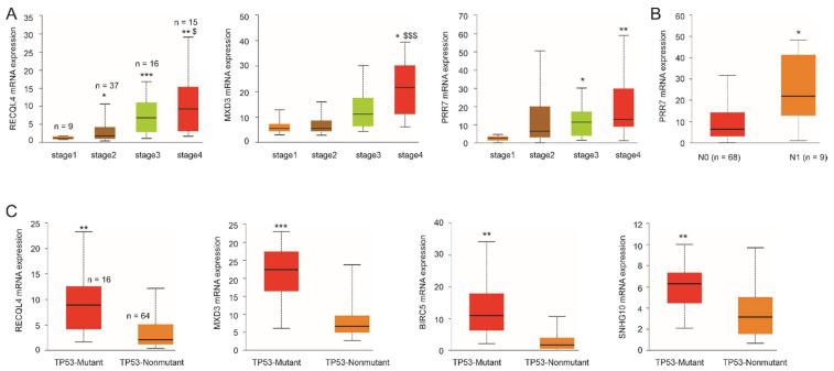 https://cdn.ncbi.nlm.nih.gov/pmc/blobs/c857/9179637/c0fe8c440edb/cancers-14-02805-g007.jpg