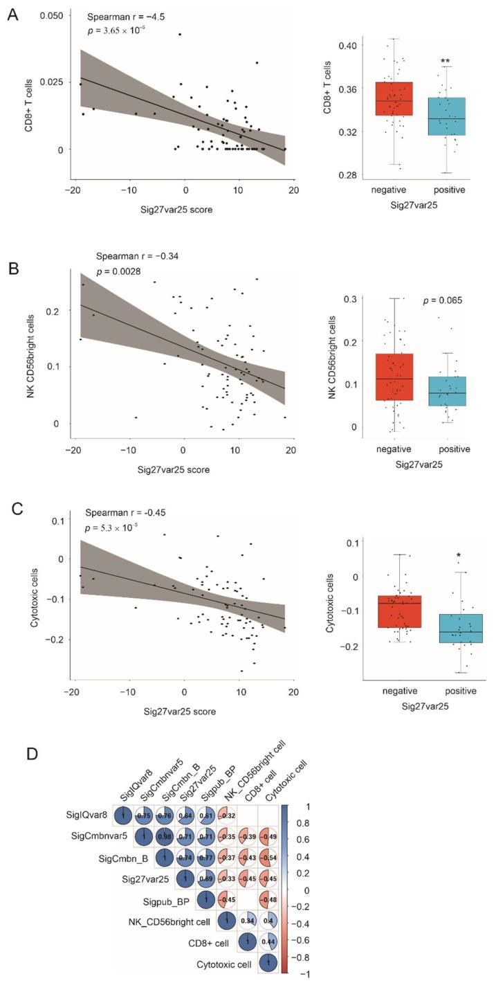 https://cdn.ncbi.nlm.nih.gov/pmc/blobs/c857/9179637/ccdb589dc82e/cancers-14-02805-g009.jpg