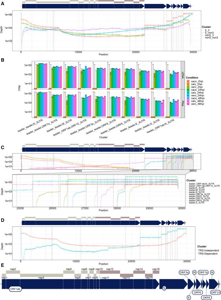 https://cdn.ncbi.nlm.nih.gov/pmc/blobs/c858/8062406/a5bdeff9eb9b/gr2_lrg.jpg