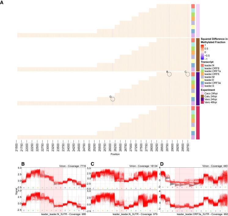 https://cdn.ncbi.nlm.nih.gov/pmc/blobs/c858/8062406/c29023884d57/gr6_lrg.jpg
