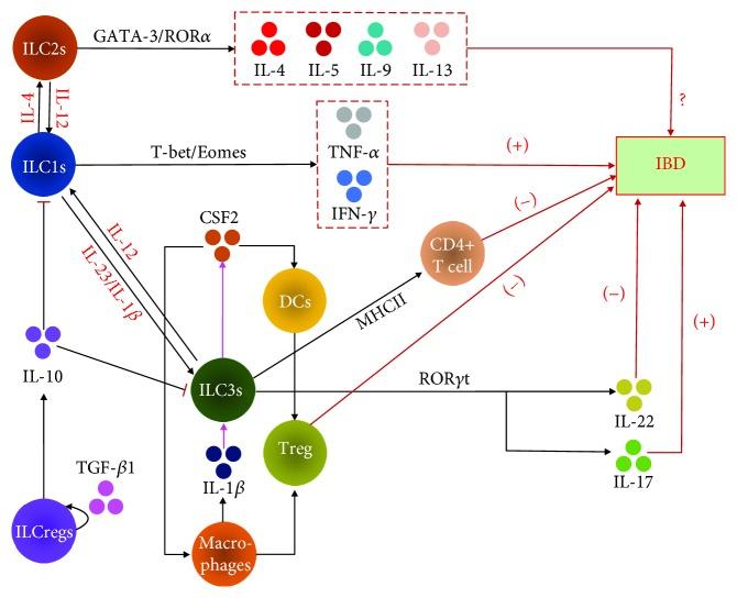 https://cdn.ncbi.nlm.nih.gov/pmc/blobs/c85a/6360575/3b5c650b4968/MI2019-1978094.001.jpg