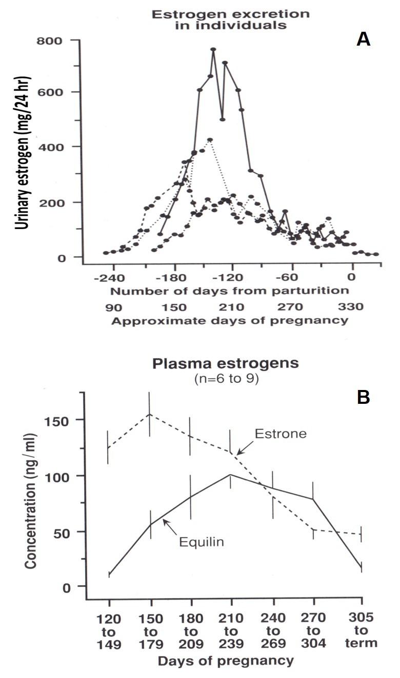 https://cdn.ncbi.nlm.nih.gov/pmc/blobs/c85c/5612187/4c8fb042d365/yjbm_90_3_449_g03.jpg