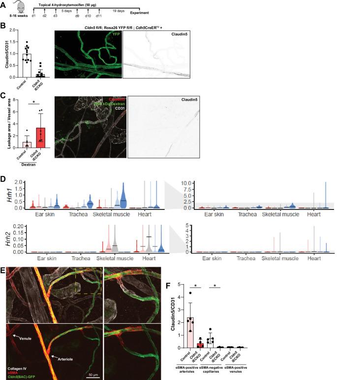 https://cdn.ncbi.nlm.nih.gov/pmc/blobs/c860/9348850/1673b2084543/elife-78517-fig4-figsupp1.jpg