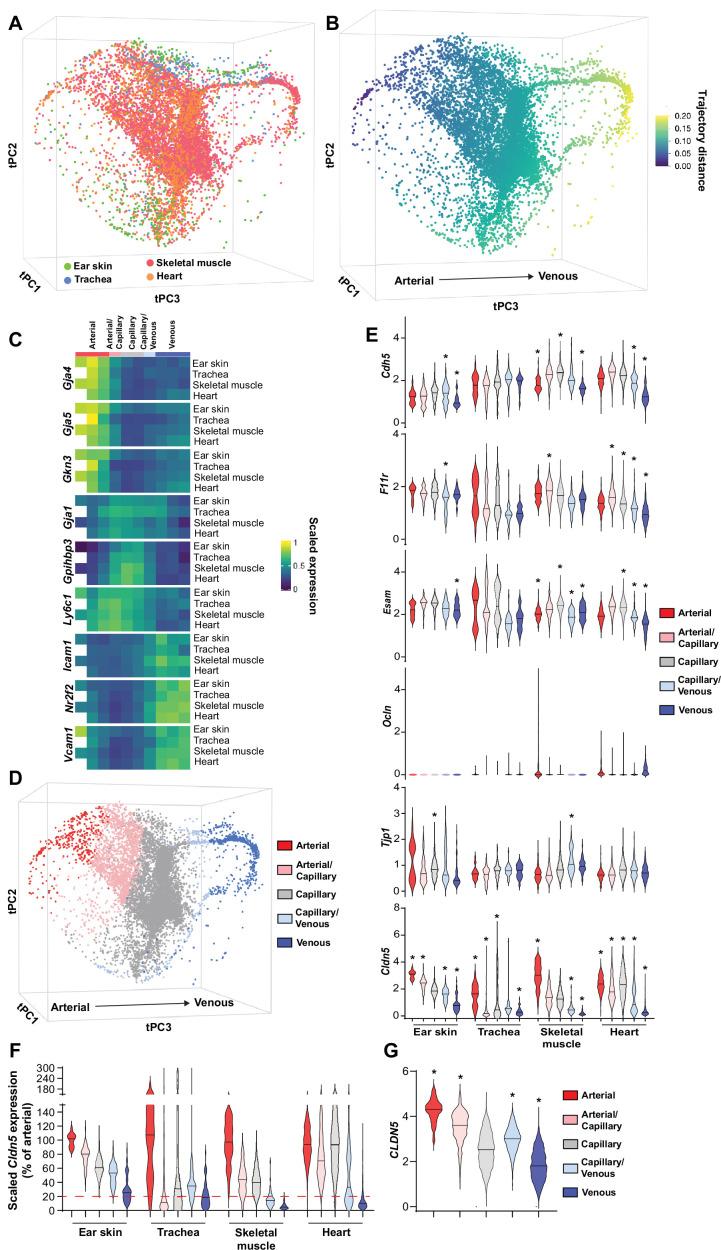 https://cdn.ncbi.nlm.nih.gov/pmc/blobs/c860/9348850/21b34a85f238/elife-78517-fig1.jpg