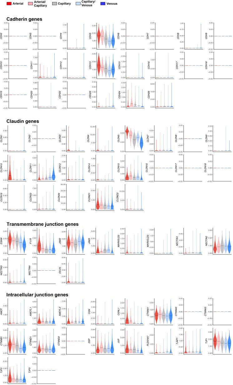 https://cdn.ncbi.nlm.nih.gov/pmc/blobs/c860/9348850/6746e0c99095/elife-78517-fig1-figsupp5.jpg