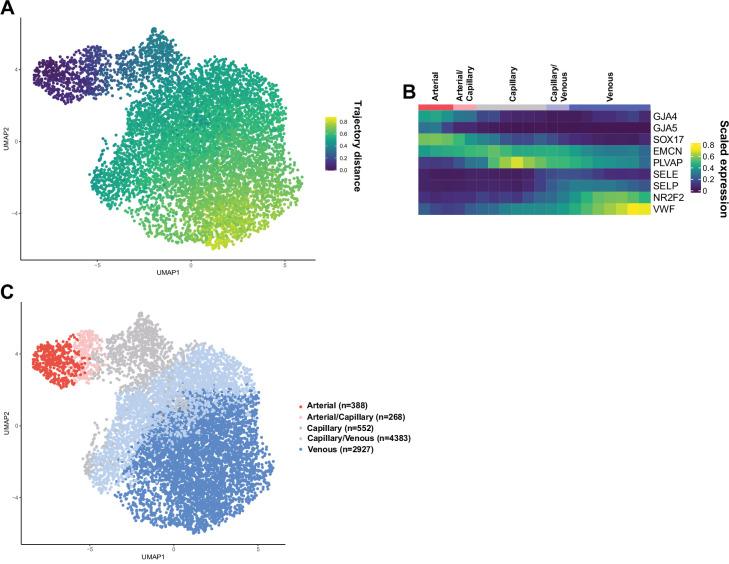 https://cdn.ncbi.nlm.nih.gov/pmc/blobs/c860/9348850/8bc34f0173d9/elife-78517-fig1-figsupp4.jpg