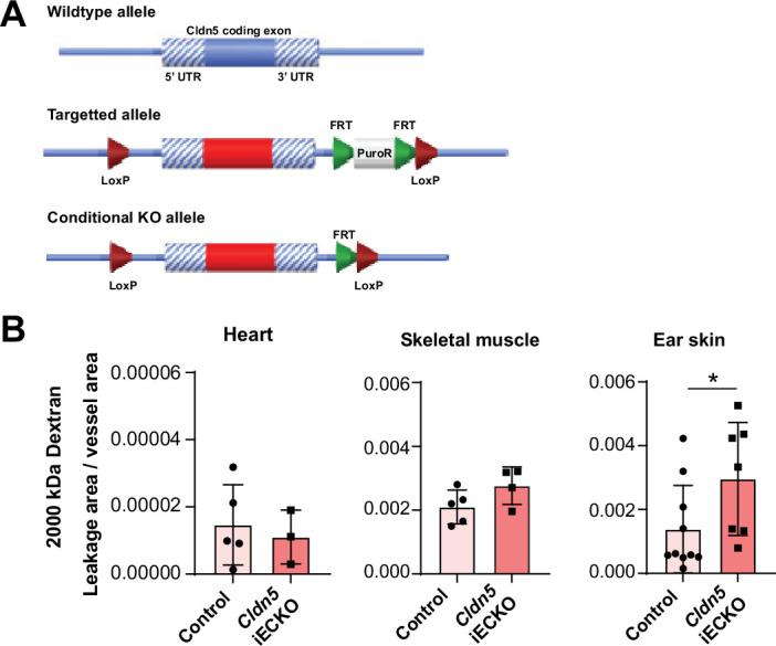 https://cdn.ncbi.nlm.nih.gov/pmc/blobs/c860/9348850/94e69a884902/elife-78517-fig3-figsupp1.jpg