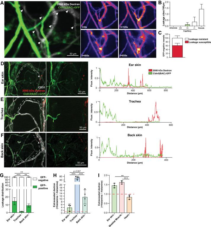 https://cdn.ncbi.nlm.nih.gov/pmc/blobs/c860/9348850/ac11154acb94/elife-78517-fig2.jpg