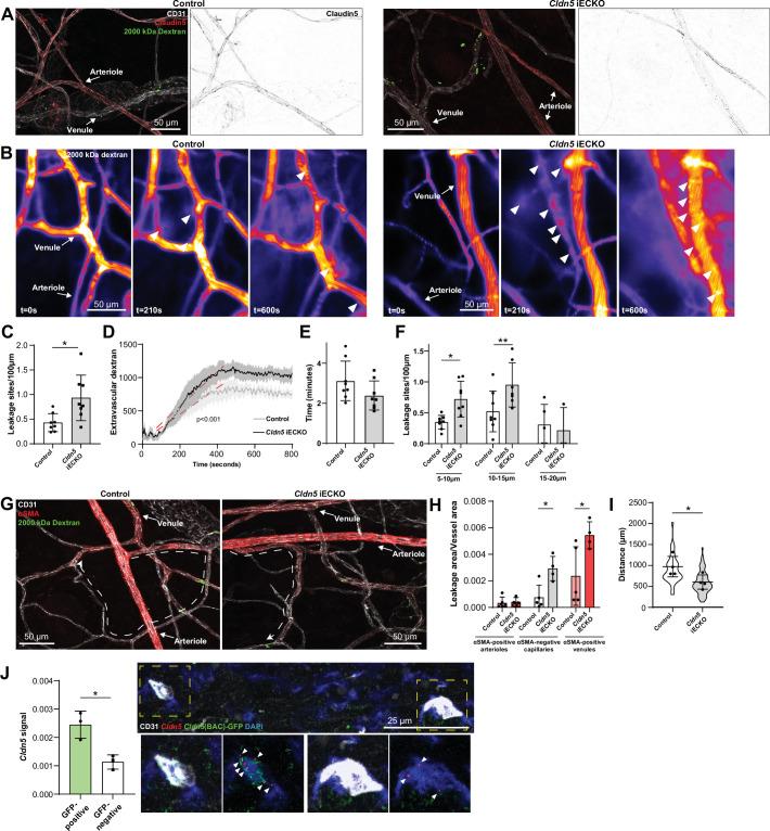 https://cdn.ncbi.nlm.nih.gov/pmc/blobs/c860/9348850/d53380dd1554/elife-78517-fig4.jpg