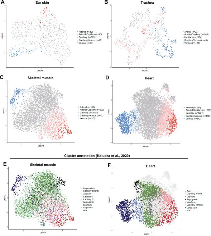 https://cdn.ncbi.nlm.nih.gov/pmc/blobs/c860/9348850/d7d458db4088/elife-78517-fig1-figsupp2.jpg