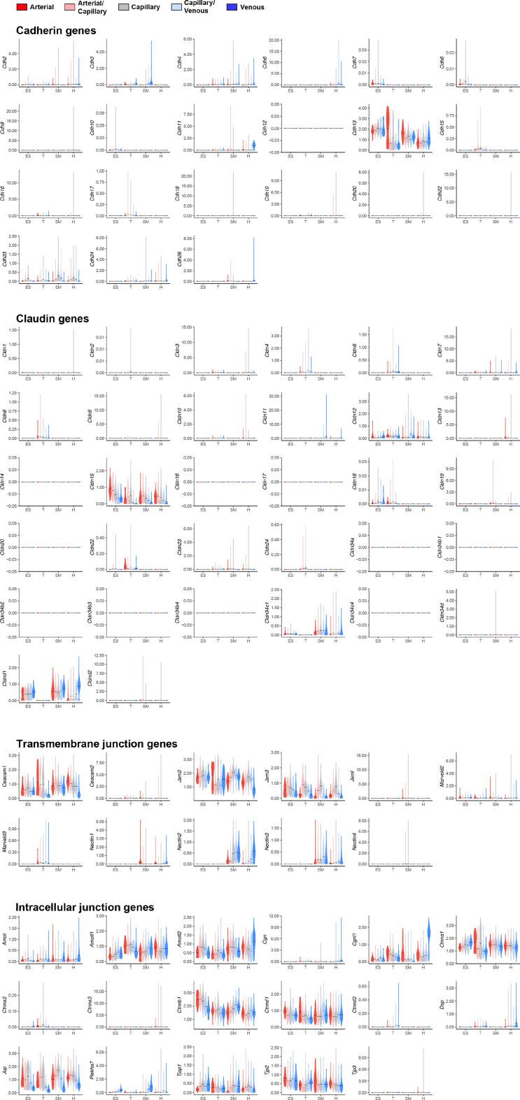 https://cdn.ncbi.nlm.nih.gov/pmc/blobs/c860/9348850/e4339fefcc5f/elife-78517-fig1-figsupp3.jpg