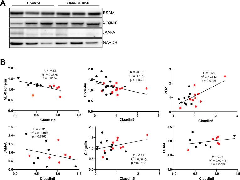 https://cdn.ncbi.nlm.nih.gov/pmc/blobs/c860/9348850/ef8948f4841c/elife-78517-fig5-figsupp1.jpg