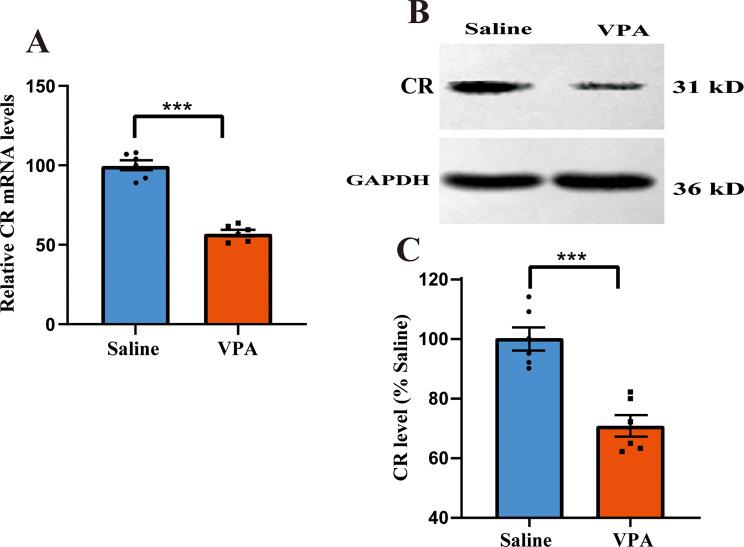 https://cdn.ncbi.nlm.nih.gov/pmc/blobs/c862/12255998/a8ed2c18c02f/13041_2025_1233_Fig1_HTML.jpg