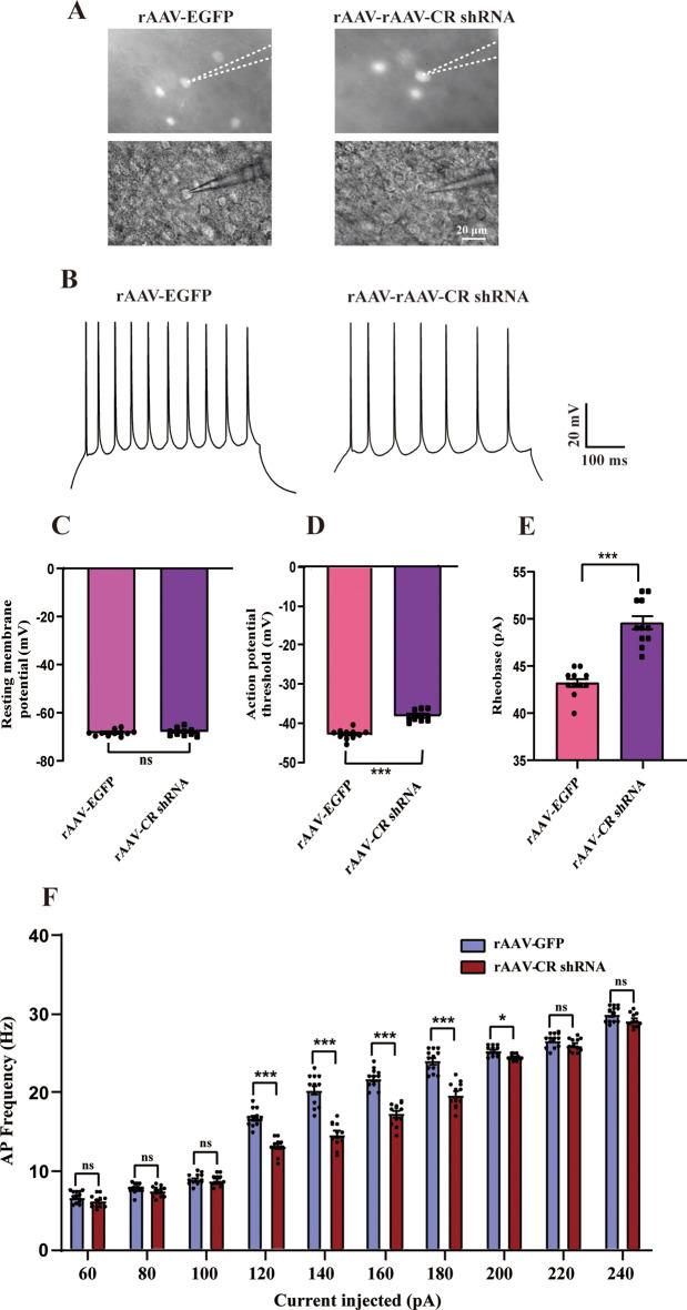 https://cdn.ncbi.nlm.nih.gov/pmc/blobs/c862/12255998/e46cf967fd2b/13041_2025_1233_Fig5_HTML.jpg