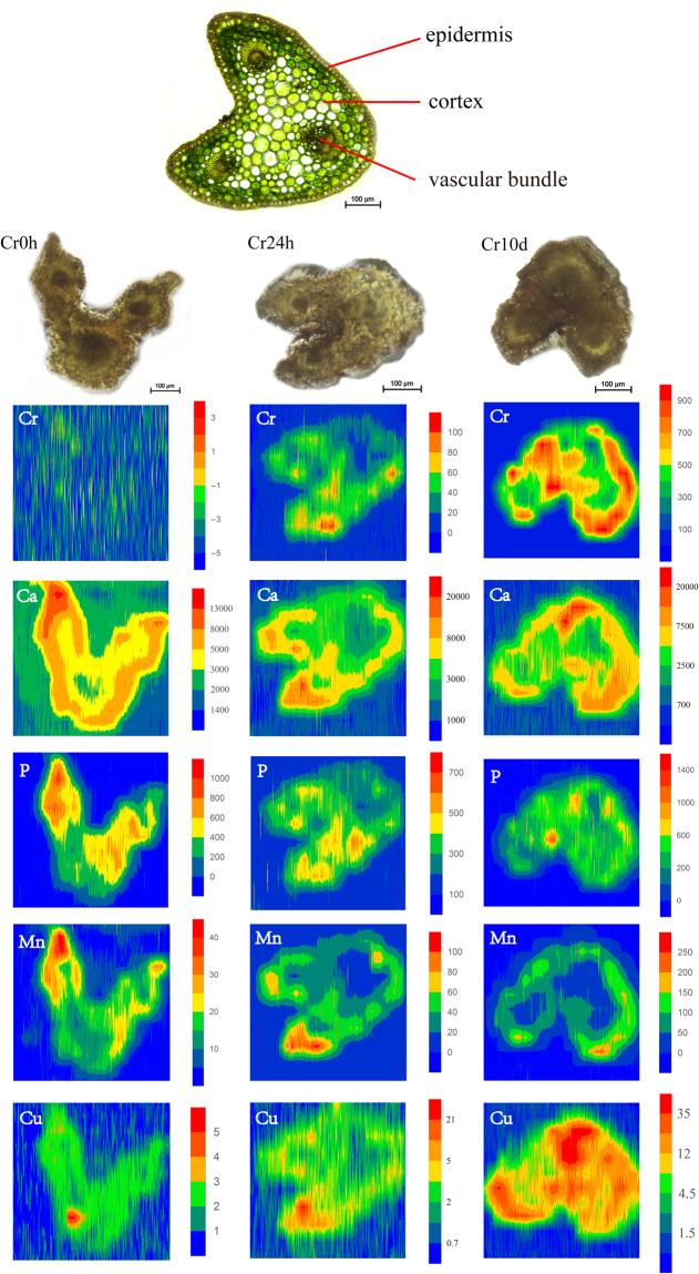 https://cdn.ncbi.nlm.nih.gov/pmc/blobs/c862/5988735/5875a94a61ac/41598_2018_26774_Fig2_HTML.jpg