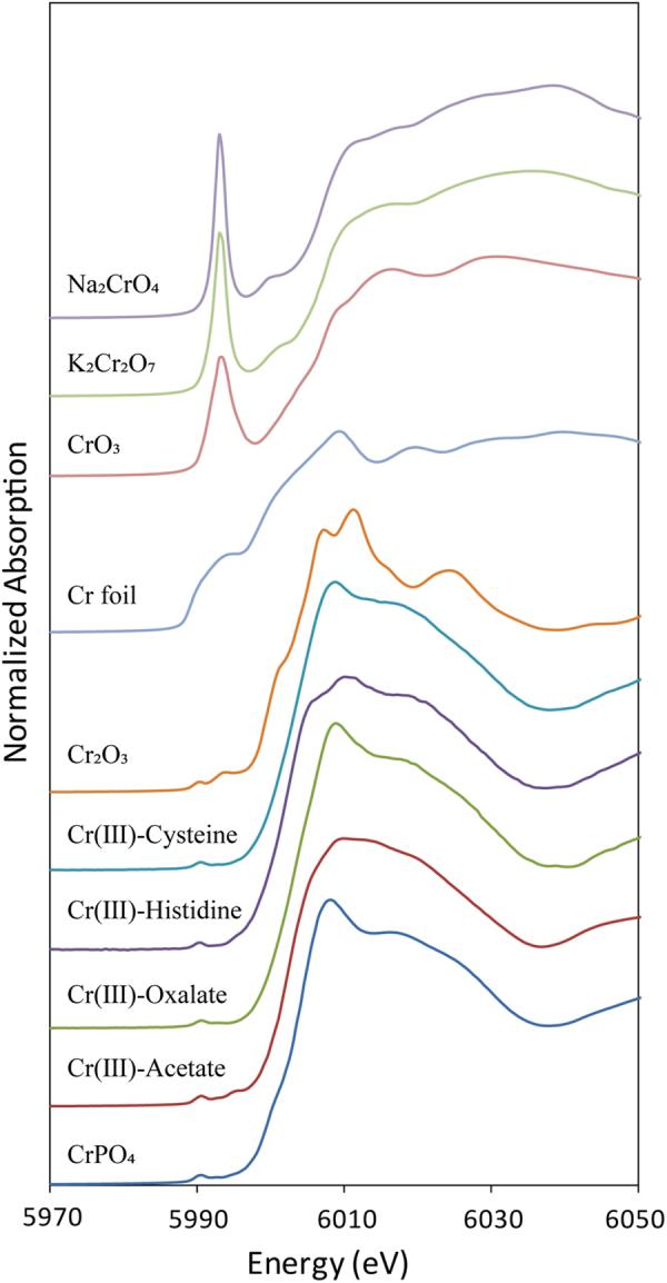 https://cdn.ncbi.nlm.nih.gov/pmc/blobs/c862/5988735/914138de9b61/41598_2018_26774_Fig3_HTML.jpg