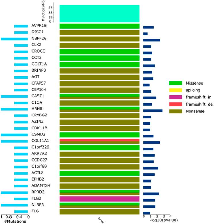 https://cdn.ncbi.nlm.nih.gov/pmc/blobs/c862/9462446/6ef32a293e24/fphar-13-945038-g006.jpg