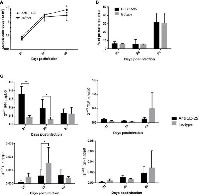 https://cdn.ncbi.nlm.nih.gov/pmc/blobs/c864/10239976/43b0739700fe/fcimb-13-1105872-g003.jpg