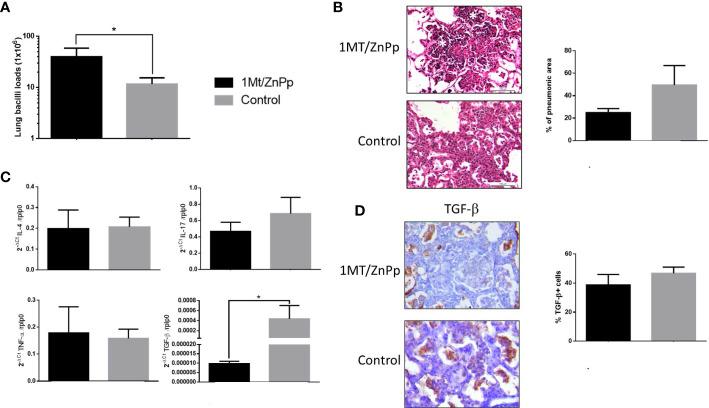 https://cdn.ncbi.nlm.nih.gov/pmc/blobs/c864/10239976/5844e277fefd/fcimb-13-1105872-g007.jpg