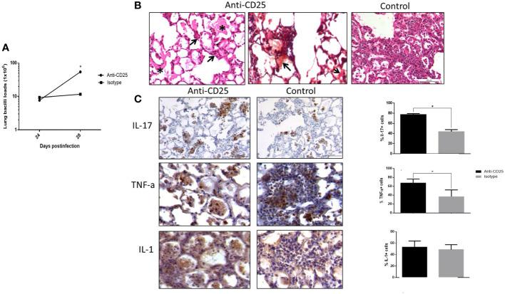 https://cdn.ncbi.nlm.nih.gov/pmc/blobs/c864/10239976/5967562f4572/fcimb-13-1105872-g005.jpg