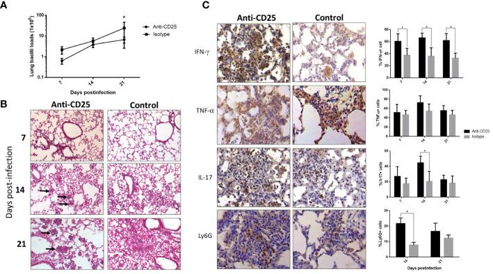 https://cdn.ncbi.nlm.nih.gov/pmc/blobs/c864/10239976/84cd01990318/fcimb-13-1105872-g004.jpg