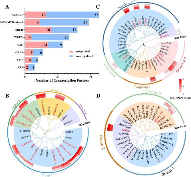 https://cdn.ncbi.nlm.nih.gov/pmc/blobs/c864/10349436/01b34e6cbf95/12870_2023_4368_Fig1_HTML.jpg