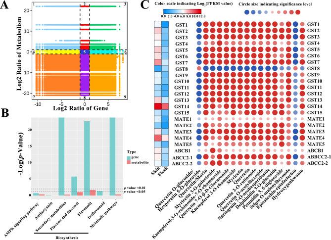 https://cdn.ncbi.nlm.nih.gov/pmc/blobs/c864/10349436/cd1d75d9e8d4/12870_2023_4368_Fig6_HTML.jpg
