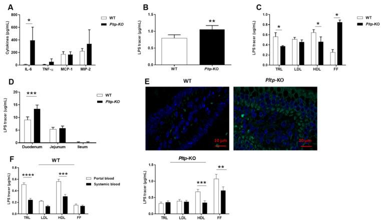 https://cdn.ncbi.nlm.nih.gov/pmc/blobs/c864/9654699/ae29fb81b7d0/ijms-23-13226-g006.jpg