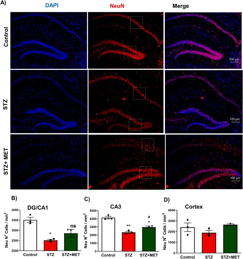 https://cdn.ncbi.nlm.nih.gov/pmc/blobs/c865/10362193/8b56c8a4726f/gr7.jpg