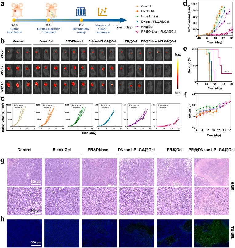 https://cdn.ncbi.nlm.nih.gov/pmc/blobs/c865/11112132/374cbdabb2f9/gr4.jpg