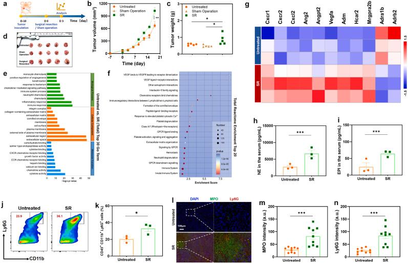 https://cdn.ncbi.nlm.nih.gov/pmc/blobs/c865/11112132/485870c5a1de/gr2.jpg