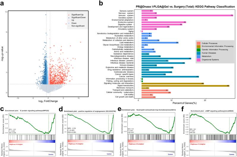 https://cdn.ncbi.nlm.nih.gov/pmc/blobs/c865/11112132/9c61610d4461/gr5.jpg