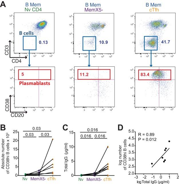 https://cdn.ncbi.nlm.nih.gov/pmc/blobs/c866/5941072/ac7d6d53e1c6/mbo0031838760004.jpg