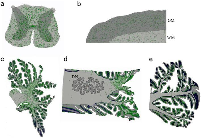 https://cdn.ncbi.nlm.nih.gov/pmc/blobs/c866/8268606/f7f1bd876d46/12883_2021_2306_Fig5_HTML.jpg