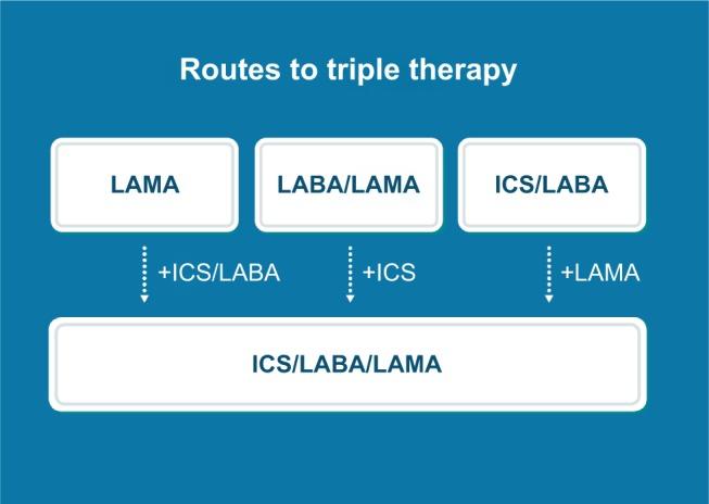 https://cdn.ncbi.nlm.nih.gov/pmc/blobs/c86c/6388781/a969b093b10b/copd-14-391Fig1.jpg