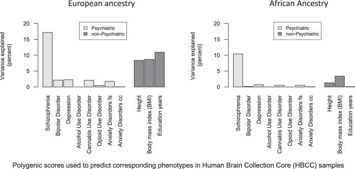 https://cdn.ncbi.nlm.nih.gov/pmc/blobs/c86d/10066241/8285faecd869/41386_2022_1524_Fig4_HTML.jpg