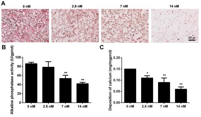 https://cdn.ncbi.nlm.nih.gov/pmc/blobs/c86d/5865870/7be0d5781569/mmr-16-05-7391-g03.jpg