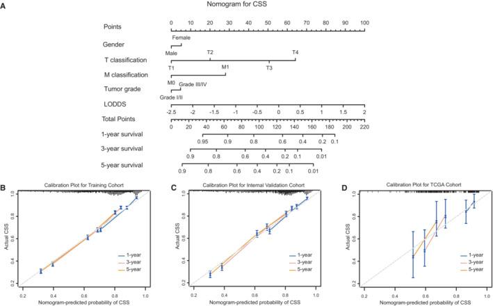 https://cdn.ncbi.nlm.nih.gov/pmc/blobs/c86f/10067030/f273af4d2fc0/CAM4-12-6853-g005.jpg