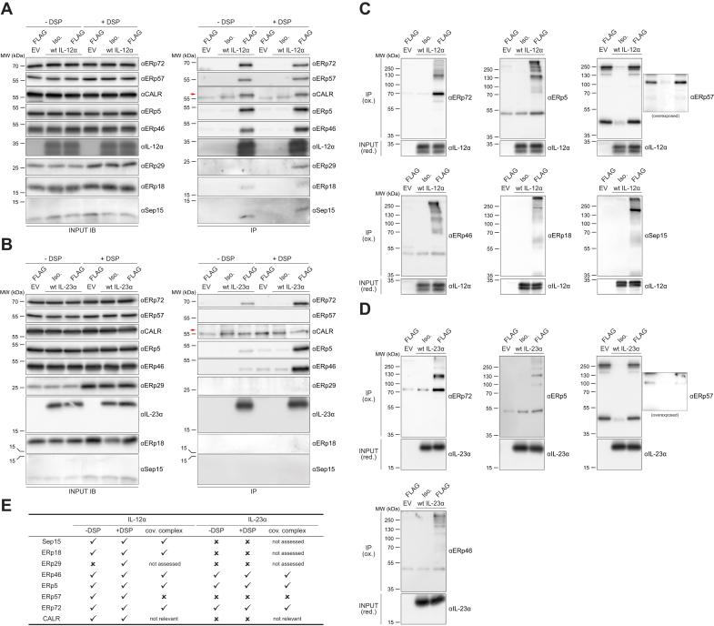 https://cdn.ncbi.nlm.nih.gov/pmc/blobs/c870/9731863/d1705186978e/gr3.jpg