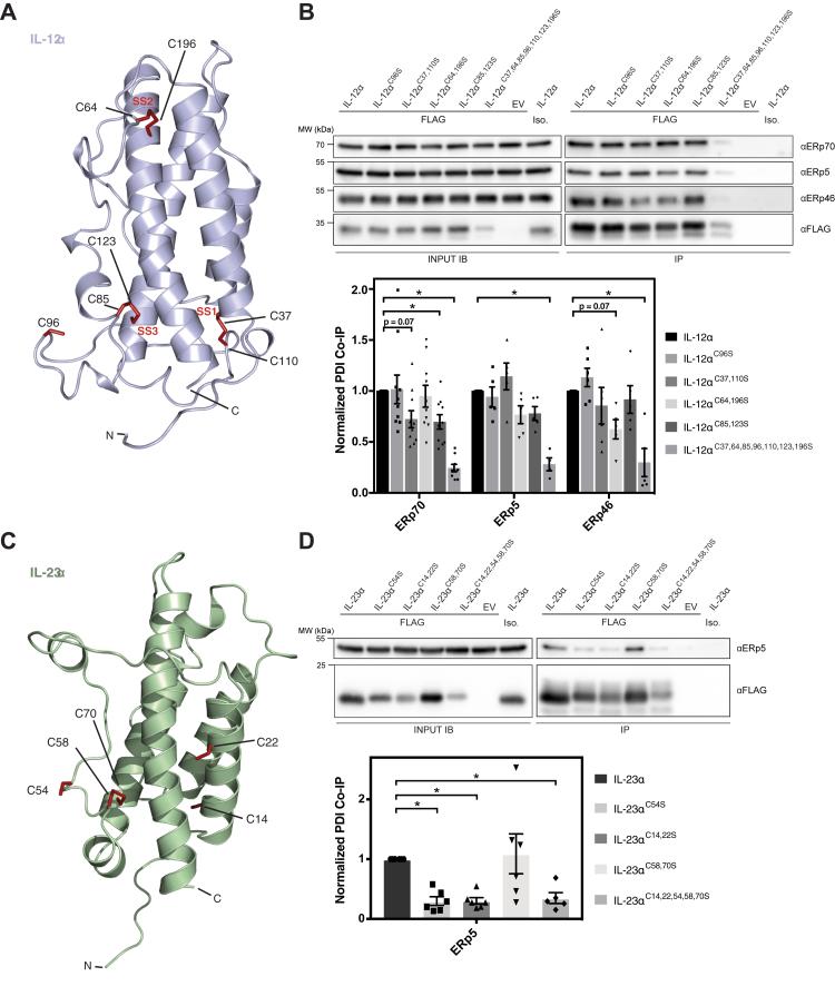 https://cdn.ncbi.nlm.nih.gov/pmc/blobs/c870/9731863/e4b06a904bc2/gr4.jpg