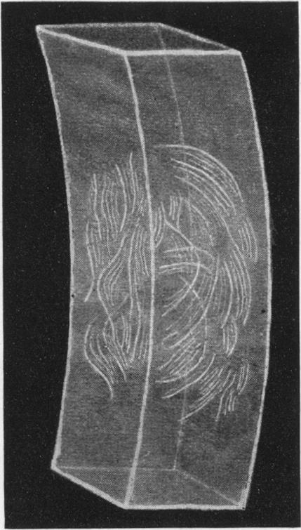 https://cdn.ncbi.nlm.nih.gov/pmc/blobs/c876/1998390/6fab36ecc196/procrsmed00635-0087-d.jpg