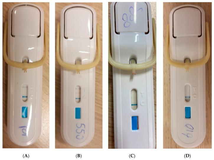 https://cdn.ncbi.nlm.nih.gov/pmc/blobs/c877/10779507/8e7fe34e78c7/jcm-13-00163-g001.jpg