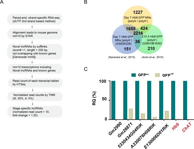 https://cdn.ncbi.nlm.nih.gov/pmc/blobs/c877/6221546/d9a741198fca/elife-38080-fig1-figsupp1.jpg